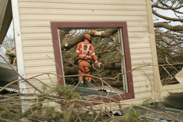 Best Tree Maintenance Programs  in Mcswain, CA